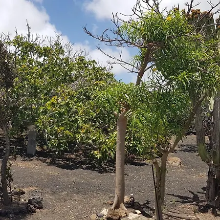 Relax, Sea View, Oasis Vasiliko, La Asomada Tatil Evi Tías