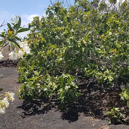 Relax, Sea View, Oasis Vasiliko, La Asomada 度假居