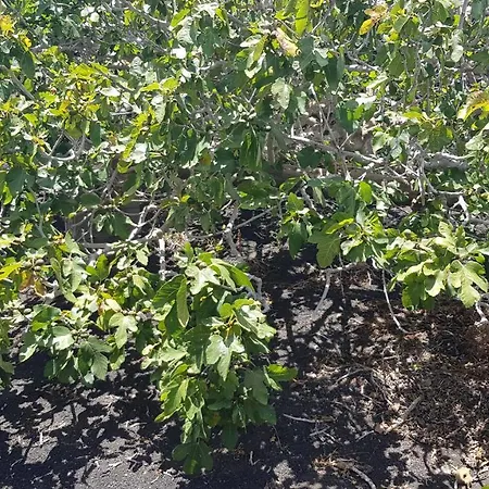 Relax, Sea View, Oasis Vasiliko, La Asomada