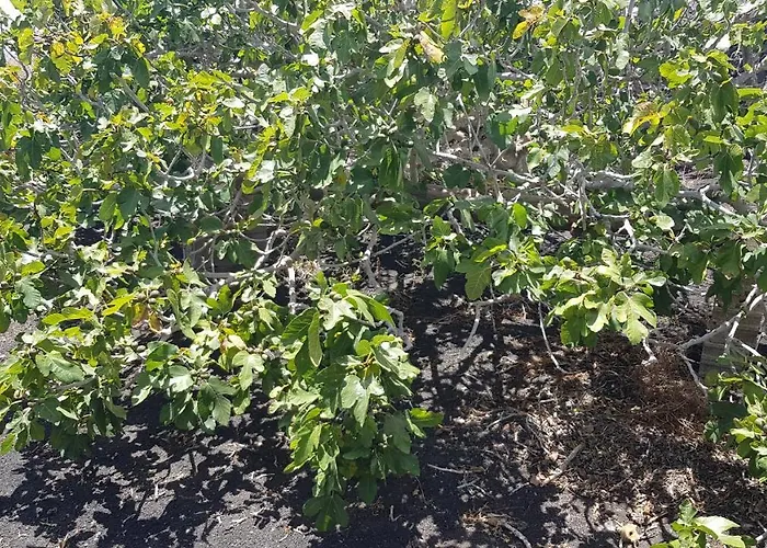 Relax, Sea View, Oasis Vasiliko, La Asomada