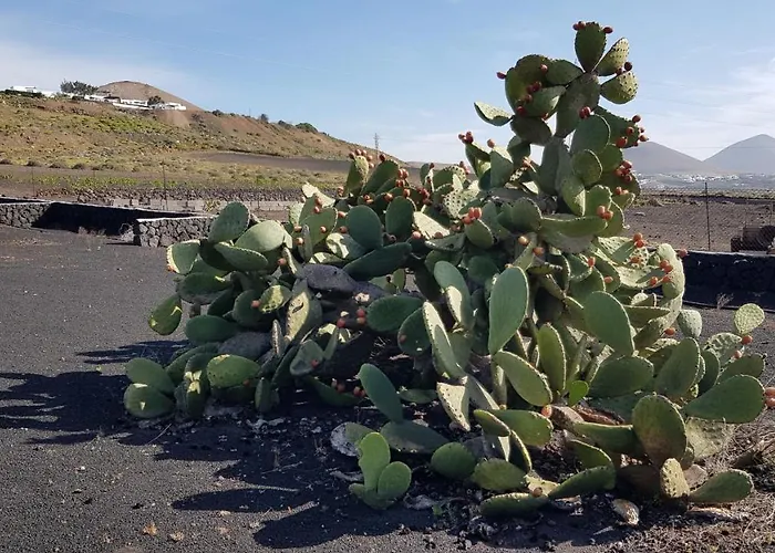 Relax, Sea View, Oasis Vasiliko, La Asomada Ferienhaus Tías