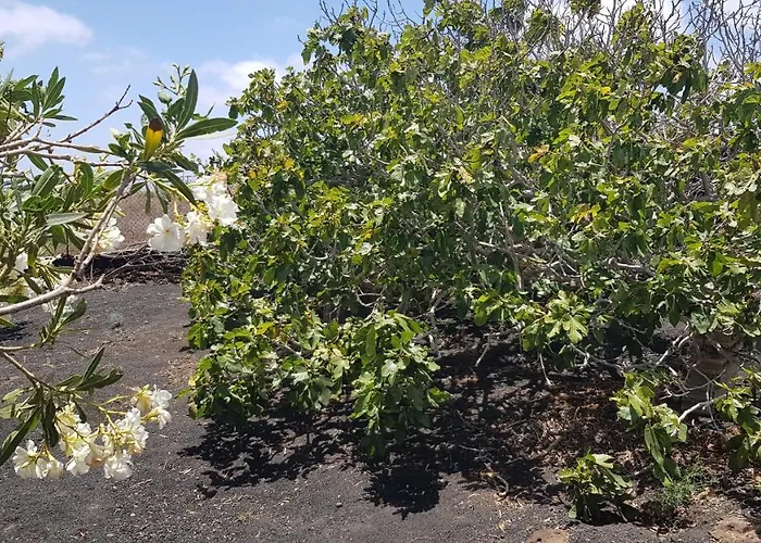 Relax, Sea View, Oasis Vasiliko, La Asomada Feriehus